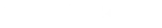 zzzz